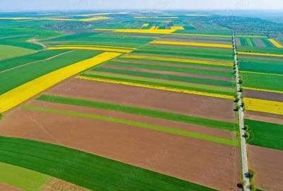 Teren de 25000 mp, în Mihail Kogălniceanu