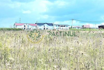 Teren agricol extravilan de 13462 mp, în Cașolț