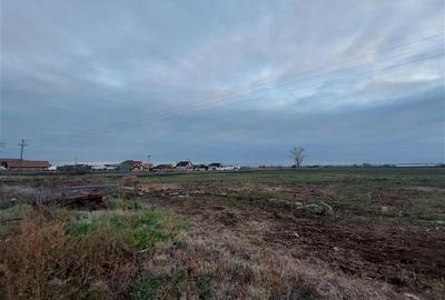 Teren pentru proiect rezidential sau industrial in Sanpaul - 6