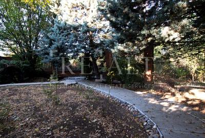 Inchiriere casa, vila 7 camere | Individuala, Renovata, Curte | Campul Pipera - 46