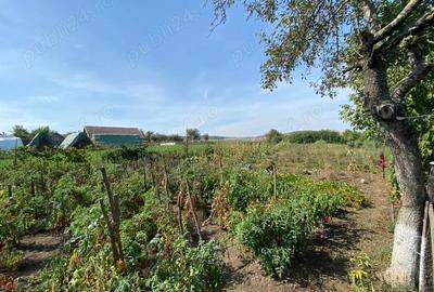 Casa, comuna Iclanzel, jud Mures - 1