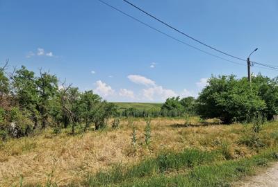 Teren cu deschidere catre lac - 40 km de Bucuresti - 2
