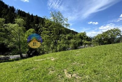 Teren 11557 mp comuna Ceahlau - 10