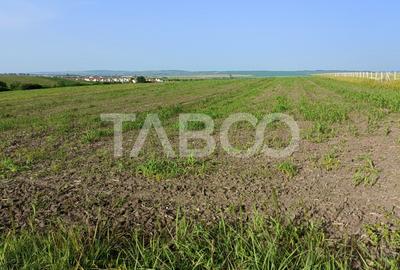 Teren 5000 mp in apropiere de case in Sura Mica - pretabil investitie Teren 5000 mp in apropiere de case in Sura Mica - pretabil investitie - 3