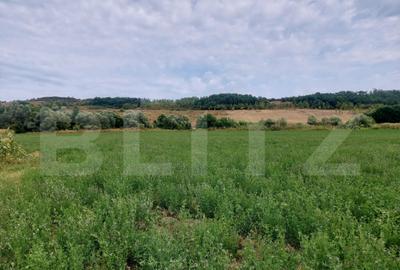 De vanzare teren Fundatura 27500mp - intravilan - 6