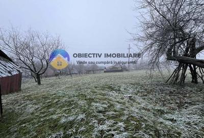 Casă cu 2 camere cu Teren 3054 Mp în Negrești (Dobreni) - 4