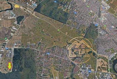 Pipera-Oxford-Padurea Baneasa, intravilan 3700mp Pipera-Oxford-Padurea Baneasa, intravilan 3700mp - 7