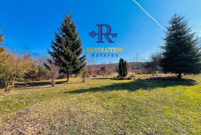 Teren Construcții intravilan de 1278 mp, în Făget - 2