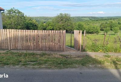 Teren de 3165 mp, în Sânmartin - 5
