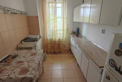 Apartament cu 2 camere semidecomandat, mobilat în Brazda lui Novac - 5
