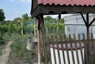 Casa Lacu Sarat Brailei Casa Lacu Sarat Brailei - 8