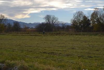Casă cu 4 camere cu Teren 500 Mp în Stupini