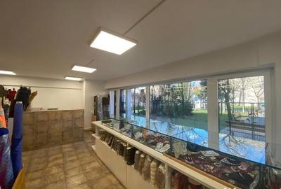 Spațiu comercial, de 567 mp, în Pache Protopopescu - 7