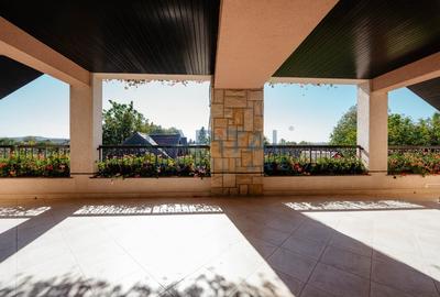 Casa deosebita de vanzare | Exceptional house for sale - 7