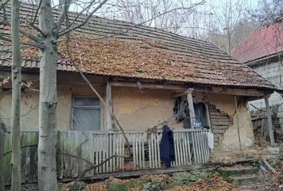 Casă cu 4 camere cu Teren 526 Mp în Odvoș - 8