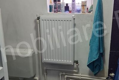 Casă cu 4 camere cu Teren 1626 Mp în Ciofrângeni - 4