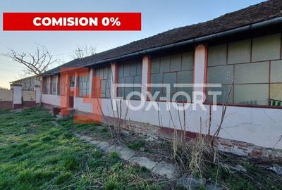 Casă individuală cu 4 camere în Pădureni (Jebel) - 10