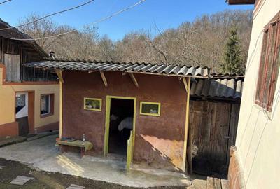 Casă cu 4 camere în Priboaia - 2