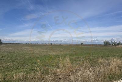 Teren intravilan 3700 mp  - zona linistita - 2