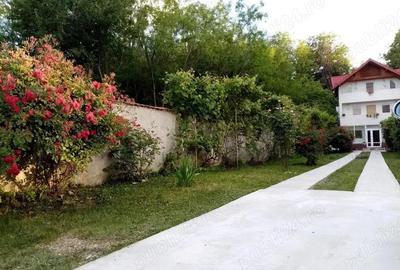 Casa de vanzare in Prundu - 3