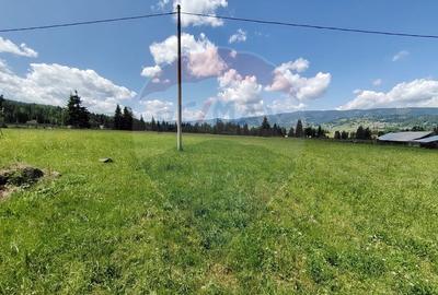 Teren 19,370mp Neagra Sarului / Strada ?estina - 12