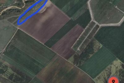 Teren Agricol Ghimbav 4866mp Teren Agricol Ghimbav 4866mp - 2