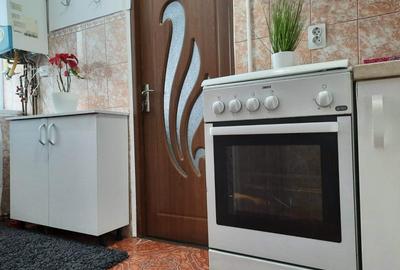 Garsonieră în Timișu de Jos - 4