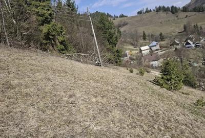 Teren de 350 mp, în Vadu Moților