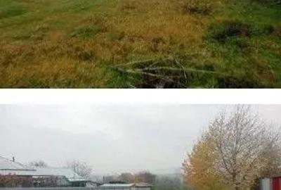 Teren intravilan Dochia, ID: R2858821 - 4