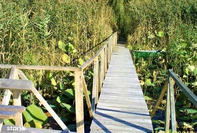 Casă cu 4 camere în Snagov - 6