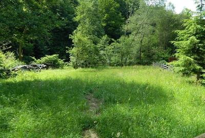 Vanzare casa individuala ,1600 teren, Gilau zona Somesul Rece Vanzare casa individuala ,1600 teren, Gilau zona Somesul Rece - 12