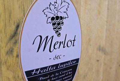 Teren de 80000 mp, în Covăsinț - 5