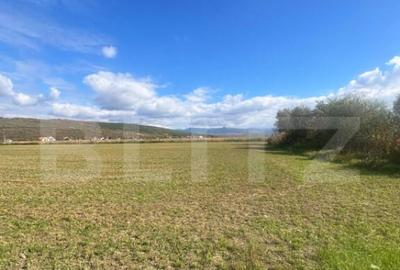 Teren Extravilan in Apropiere de Jelna 25.800 mp, cu Ut - 2