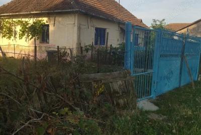 Vand casa locuibila cu vie ?i teren In sat Doh, comuna Maeriste - 5