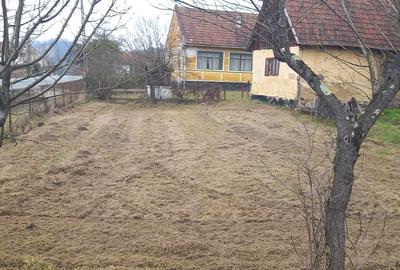 Casă cu 3 camere cu Teren 6400 Mp în Petriș - 4