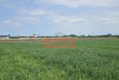 Teren de 4998 mp, în Caracal - 4