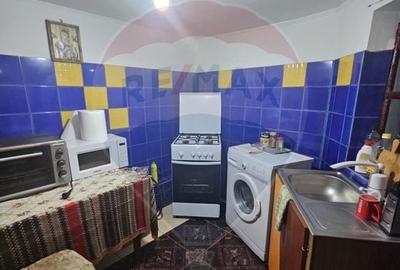 Casa / Vila cu 4 camere de vanzare in zona Alexandriei - 4