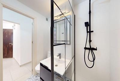 Apartament 2 camere Superb Nicolae Grigorescu - 17