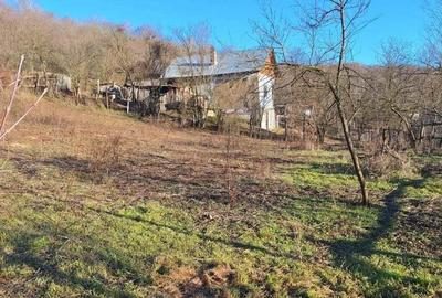 Casa de vanzare Malureni-Bunesti-Arges - 3