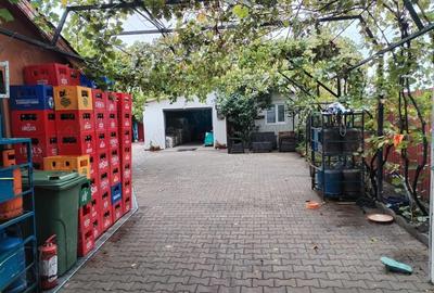 Spațiu comercial, de 200 mp, în Burila Mică - 1