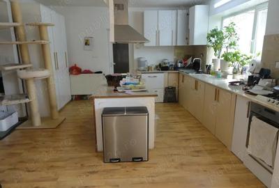 Casă cu 5 camere cu Teren 500 Mp în Central - 8