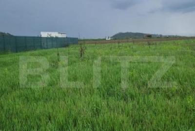 Teren pentru casa intravilan , 800 mp deschidere la drum Bod - 5