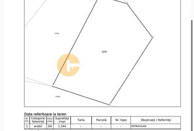 Teren Construcții de 2800 mp, în Tomești - 4