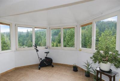 Resedinta cu atmosfera familiara,peisaj imersiv,amplasare pr - 1