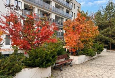 Garsonieră, mobilată în Voluntari - 4