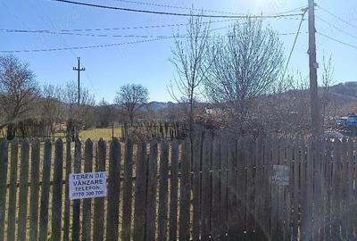 Teren de 3687 mp, în Podu Nărujei - 2
