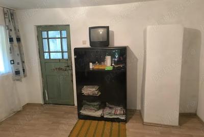 Gospodarie in Jud. Valcea, com. Pe?ceana, sat Ursoaia, 2 case ?i anexe - 1