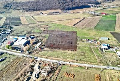 Teren Industrial cu P.U.Z. - 16