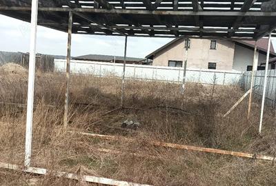 Teren de 1000 mp, în Dumbrava - 2