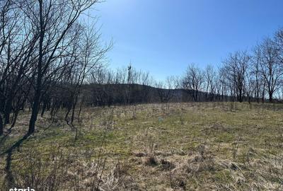 Spațiu comercial, în Central - 3